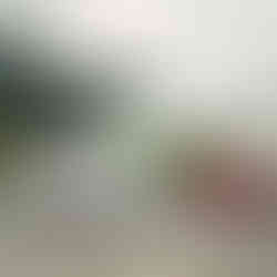 b4dcef_28d4f789c4154e20a3d2c59c9dd96769mv2-10