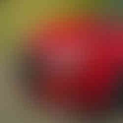 b4dcef_c71acb852dd04d3795b496364350066emv2-8